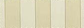 5009 - 1 - Beige - Tan Stripe.png 5009 - 1 - Beige - Tan Stripe.png